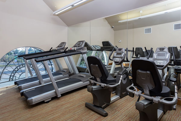 Gym Facility Gym Facility